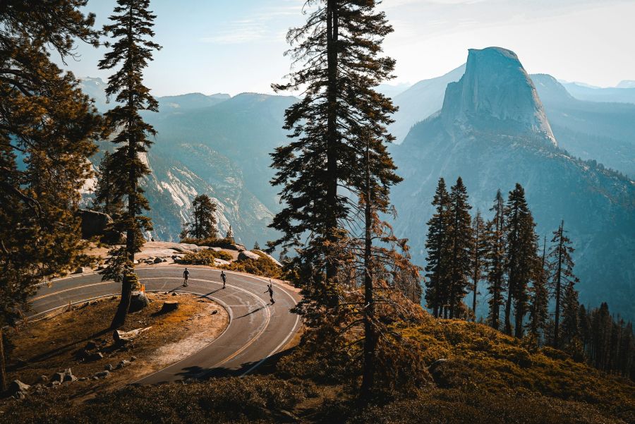 Scenic mountain landscape with tall pine trees, a winding road, and hikers admiring the distant view.